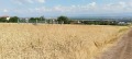 Продава ПАРЦЕЛ, град София, с. Лозен • 149600 € / 292592.17 лв. • 82339013 10