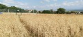 Продава ПАРЦЕЛ, град София, с. Лозен • 149600 € / 292592.17 лв. • 82339013 11