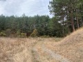 Продава ПАРЦЕЛ, гр. София, с. Панчарево, снимка 2