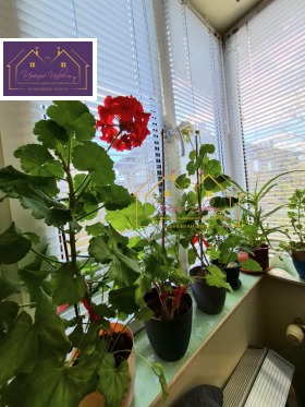 ������� 3-����� | Imot.bg � ����� ������ 5