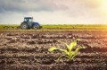 Продава ЗЕМЕДЕЛСКА ЗЕМЯ, с. Преселка, област Шумен, снимка 1