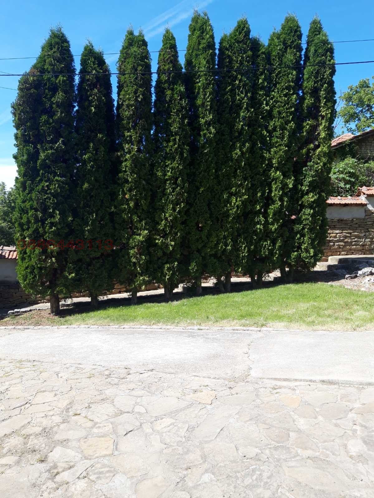 ������� ���� | Imot.bg � ����������� 8