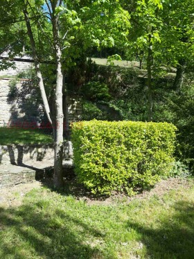 ������� ���� | Imot.bg � ����� ������ 5