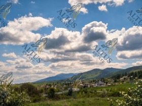 ������ ������� ������