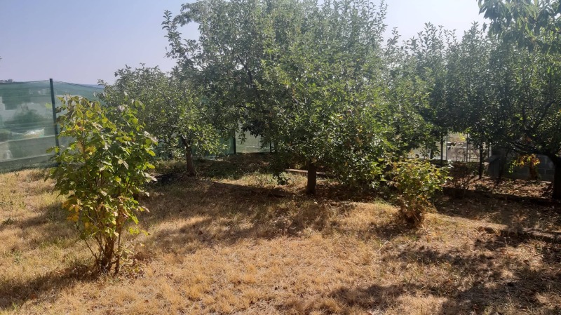 На продаж  Сюжет Стара Загора , Студентско градче , 1000 кв.м | 69357216 - зображення [14]