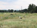 Продава ПАРЦЕЛ, гр. Костинброд, област София област, снимка 3