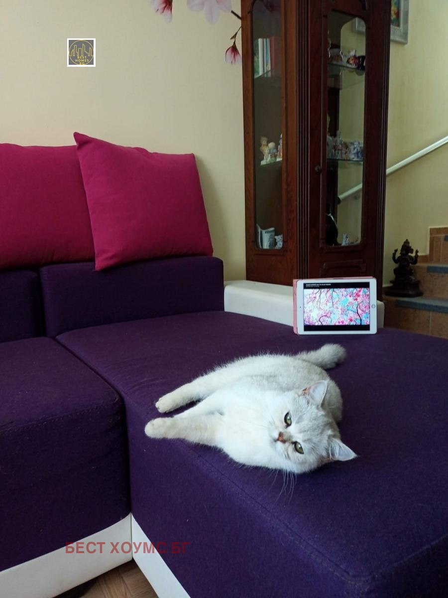 ������� ���� | Imot.bg � ����������� 9