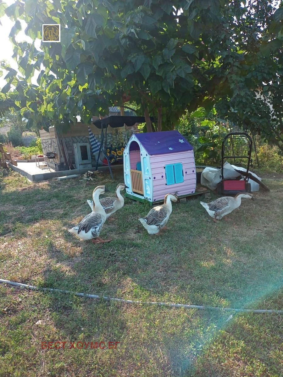 ������� ���� | Imot.bg � ����������� 12