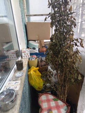 ������� 3-����� | Imot.bg � ����� ������ 7