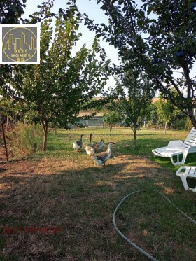 ������� ���� | Imot.bg � ����� ������ 11