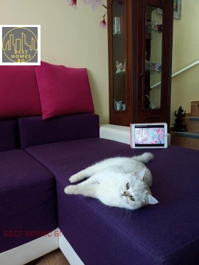 ������� ���� | Imot.bg � ����� ������ 9