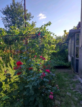 ������� ���� | Imot.bg � ����� ������ 4