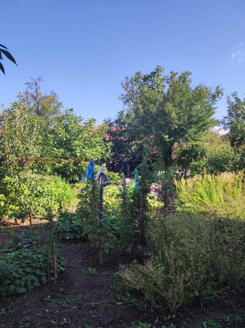 Продава КЪЩА, гр. Берковица, област Монтана, снимка 2 - Къщи - 52779609