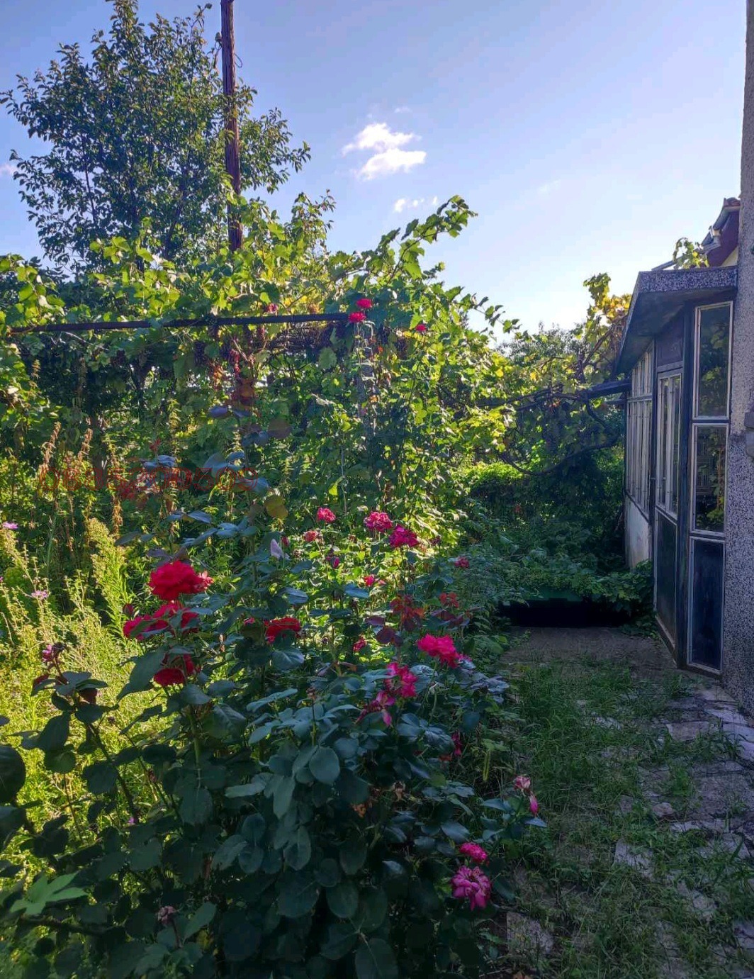 Продава КЪЩА, гр. Берковица, област Монтана, снимка 4 - Къщи - 54903186