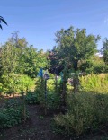 Продава КЪЩА, област Монтана, гр. Берковица • 160000 € / 312932.80 лв. • 37896594 5