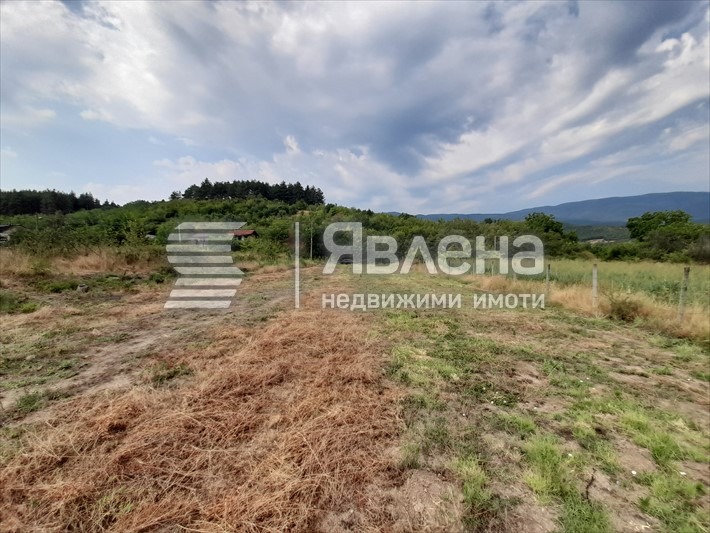 Продава ПАРЦЕЛ, с. Дебръщица, област Пазарджик, снимка 2 - Парцели - 55548340