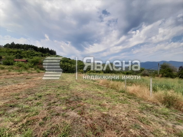 Продава ПАРЦЕЛ, с. Дебръщица, област Пазарджик, снимка 3 - Парцели - 55548340