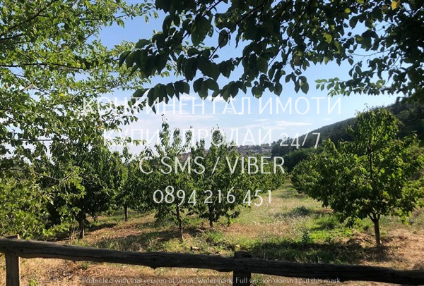 Продава  Земеделска земя област Пловдив , с. Устина , 4 дка | 78356122 - изображение [4]