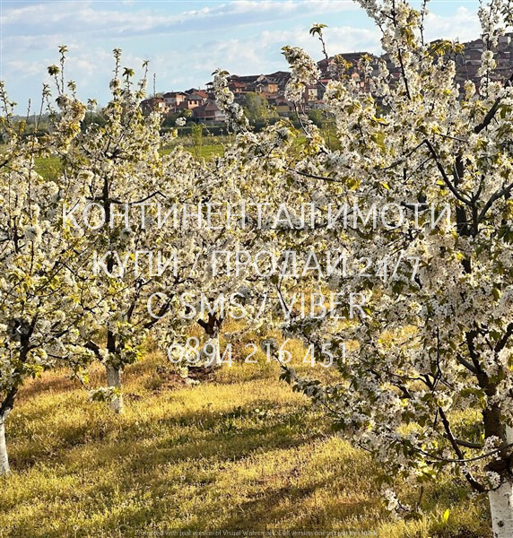 Продава  Земеделска земя област Пловдив , с. Устина , 4 дка | 78356122 - изображение [7]