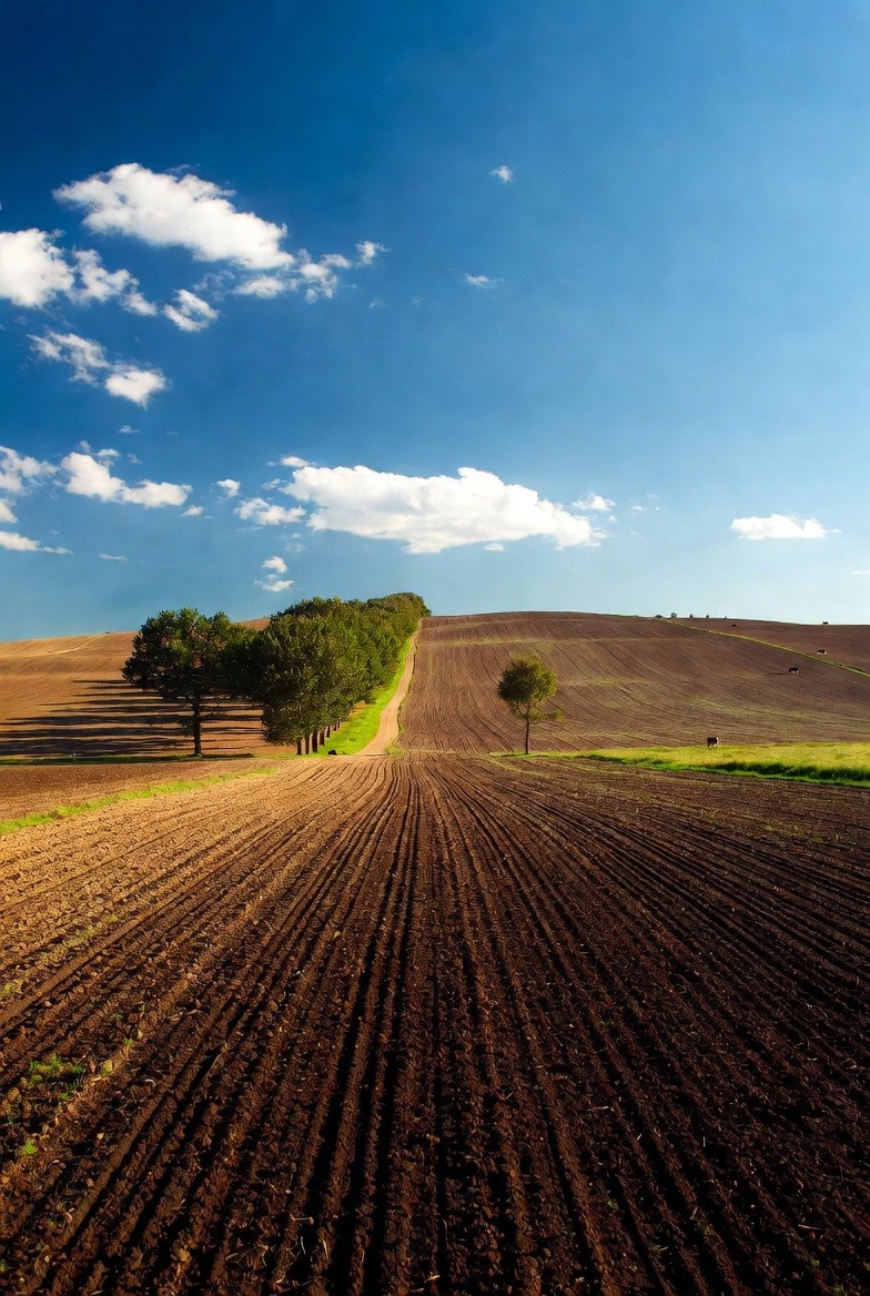 ������� ������ | Imot.bg � ����������� 12