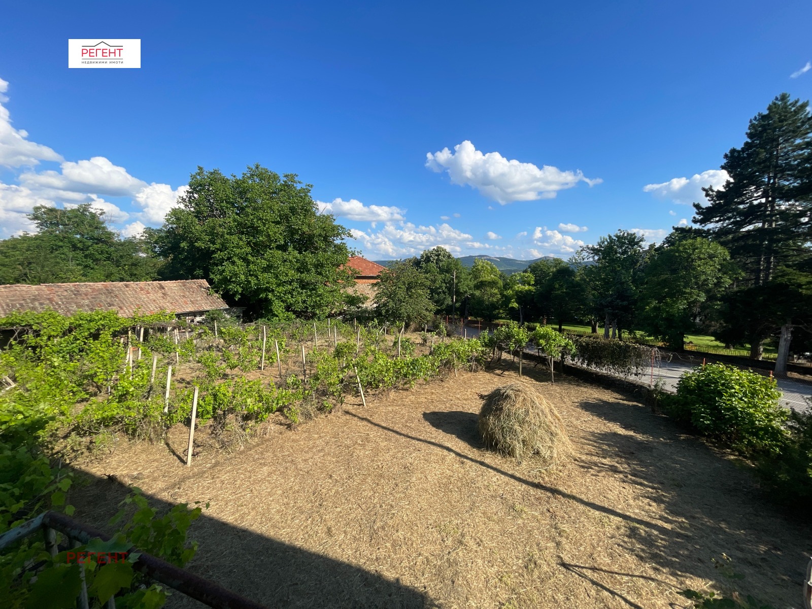 ������� ���� | Imot.bg � ����������� 12