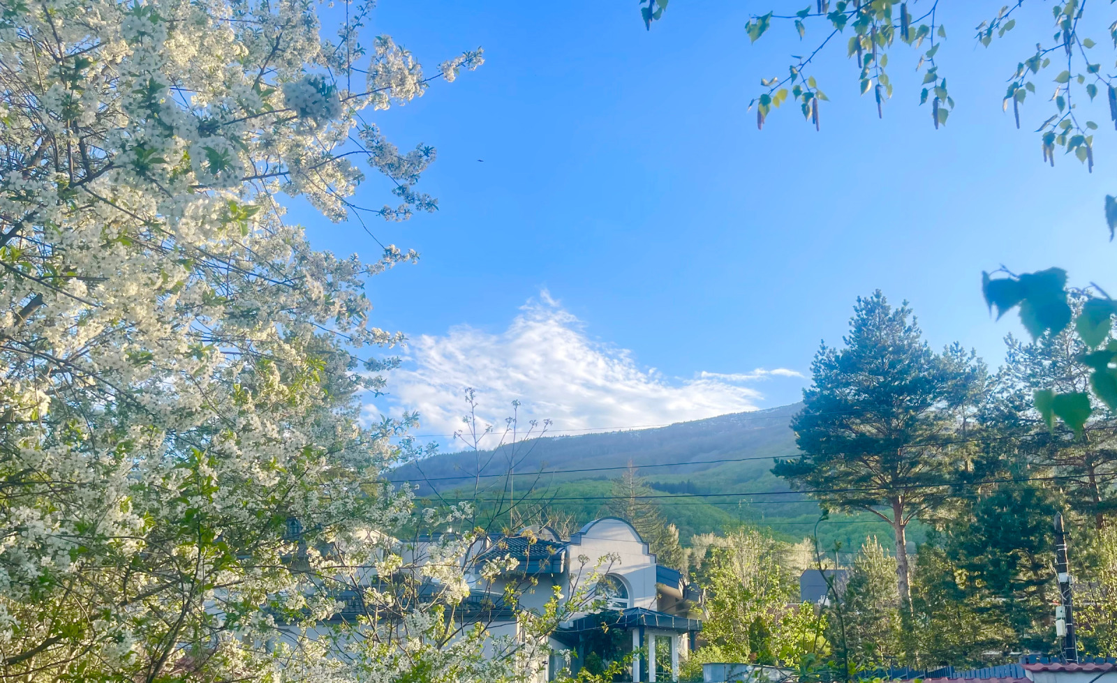 ������� ���� | Imot.bg � ����������� 5