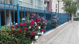 ������� 2-����� | Imot.bg � ����� ������ 11