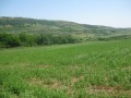 Продава ЗЕМЕДЕЛСКА ЗЕМЯ, с. Долна Бешовица, област Враца, снимка 2