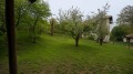 Продава  Къща област София , с. Дреново , 60 кв.м | 69761511 - изображение [9]