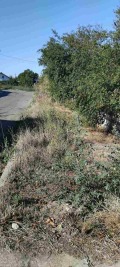 Продава ПАРЦЕЛ, с. Преславен, област Стара Загора, снимка 3