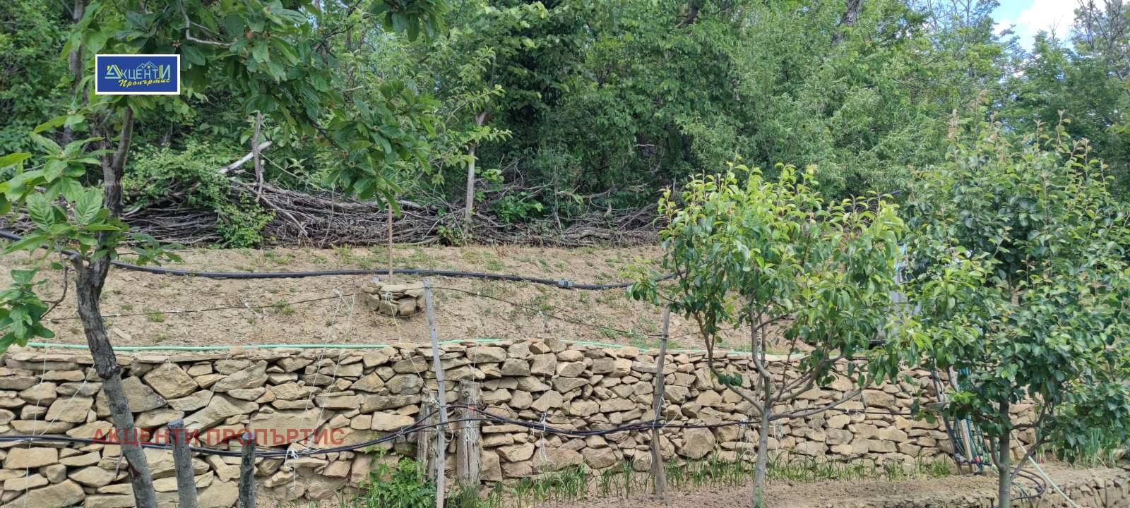 ������� ���� | Imot.bg � ����������� 6