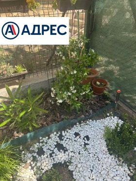 ������� ���������� | Imot.bg � ����� ������ 11