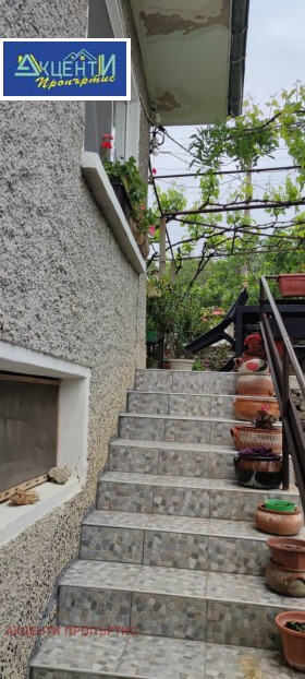 ������ ������� ����