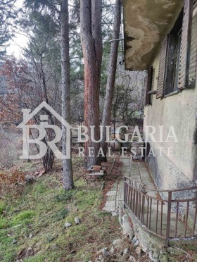 ������� ���� | Imot.bg � ����� ������ 5