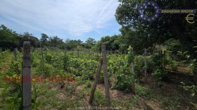 ������� ���� | Imot.bg � ����� ������ 12