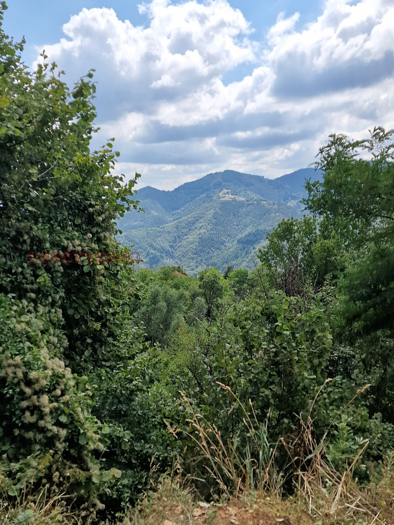 Продава КЪЩА, с. Кръстатица, област Смолян, снимка 2 - Къщи - 52781129