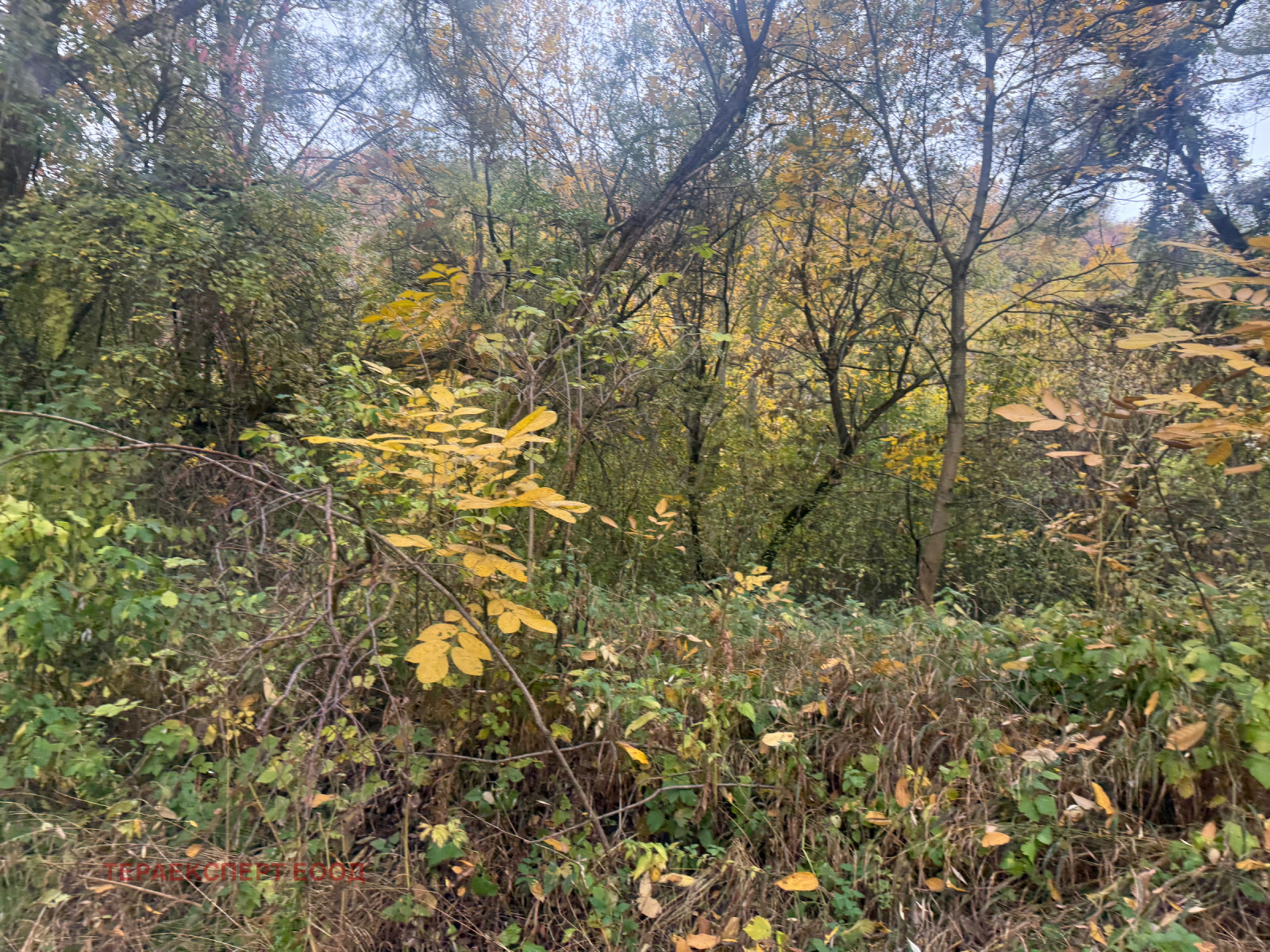 ������� ������ | Imot.bg � ����������� 5