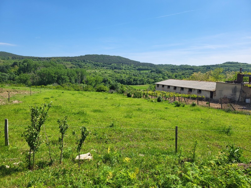 De vânzare  Complot regiunea Varna , General Cantardjievo , 25000 mp | 46850003