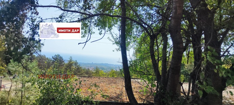 Продаја  Плот Варна , м-т Добрева чешма , 705 м2 | 52214904