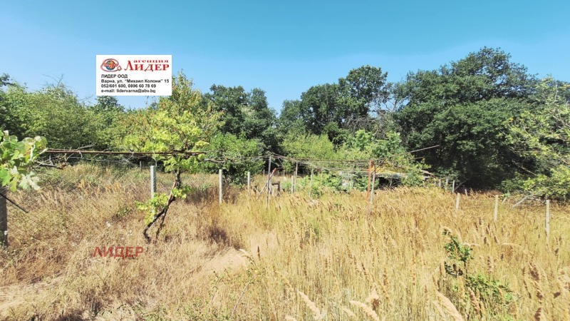 Te koop  Verhaallijn Varna , m-t Borovets - jug , 600 m² | 54695507 - afbeelding [7]