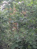 Продава  Парцел област Ловеч , с. Дъбен , 2240 кв.м | 60769041 - изображение [6]