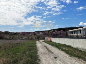 Trama Rogachevo, región Dóbrich 7