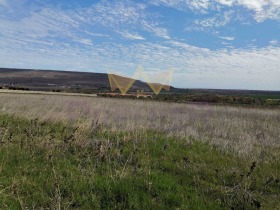 Trama Rogachevo, región Dóbrich 5