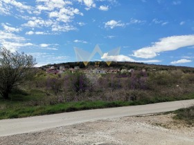 Trama Rogachevo, región Dóbrich 8