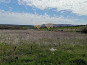 Trama Rogachevo, región Dóbrich 6