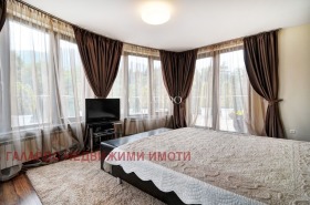 3+ chambres Boyana, Sofia 4
