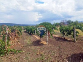 ������� ��������� | Imot.bg � ����� ������ 15