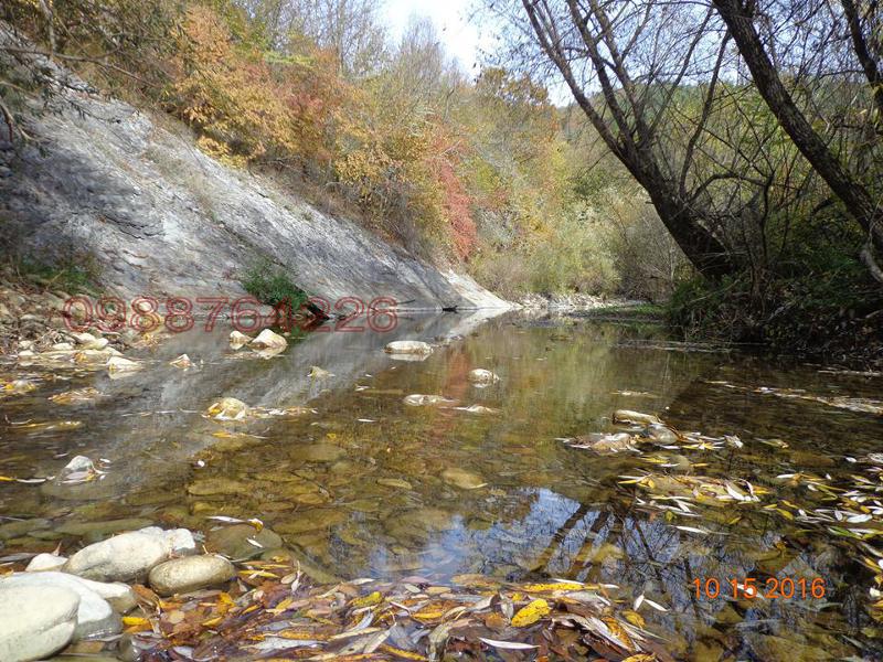 Satılık  Komplo bölge Veliko Tarnovo , Elena , 10000 metrekare | 90143182 - görüntü [11]