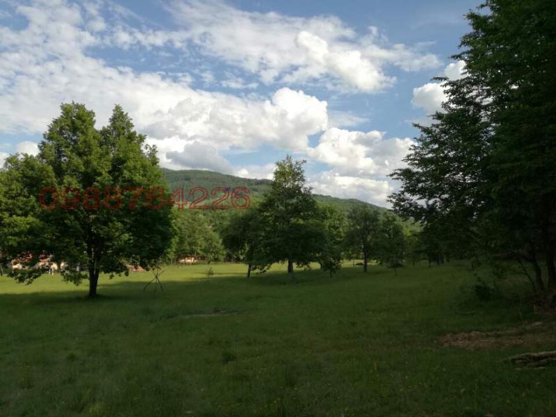 Satılık  Komplo bölge Veliko Tarnovo , Elena , 10000 metrekare | 90143182 - görüntü [2]