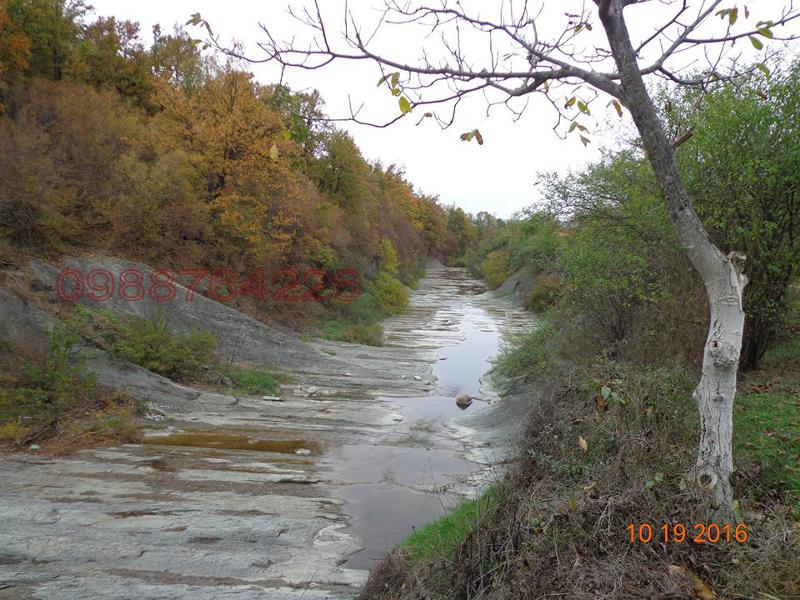 Satılık  Komplo bölge Veliko Tarnovo , Elena , 10000 metrekare | 90143182 - görüntü [15]